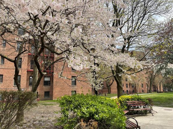 150-11 72 Road 6A, Flushing NY 11367