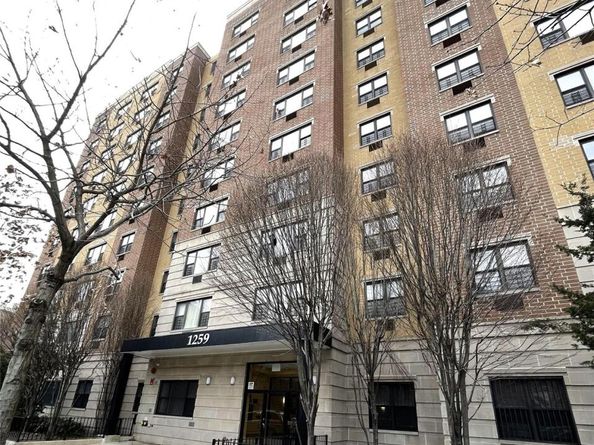 1259 Grant Avenue 8A, Bronx NY 10456