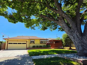 1402 Sprucewood Drive