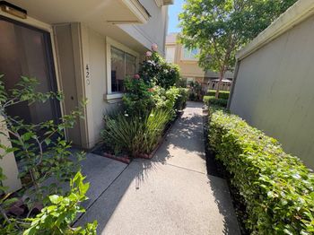420 Tortola Way