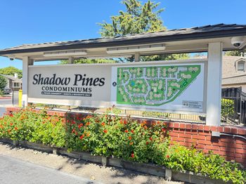 3016 Shadow Springs Place