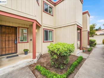 20980 Birch