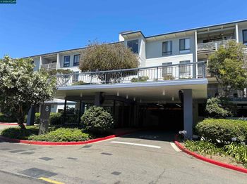 8 Commodore Drive