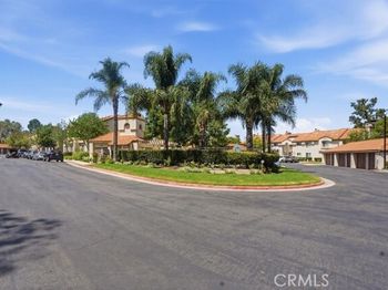 26342 Forest Ridge