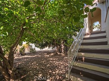 231 W 19th