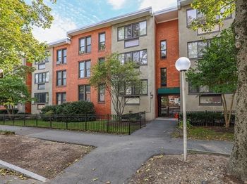 38 Juniper