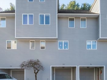 905 Sherwood Forest Ln.