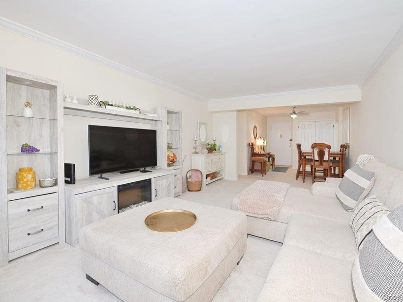 4 Birchwood Court 1O, Mineola NY 11501