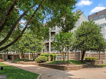 5575 Seminary Road