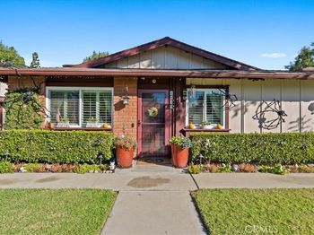 1149 W Calle De La Luna