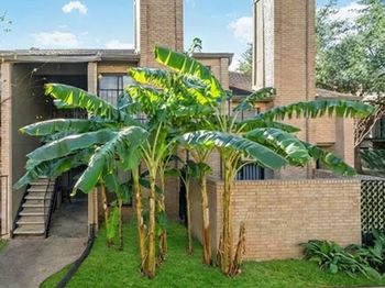 10811 Richmond Avenue