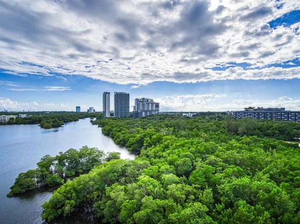 17111 Biscayne Boulevard 902, North Miami Beach FL 33160