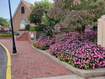 1230 Estate Lane Lane