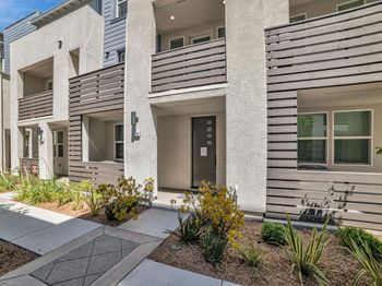 3209 Ivory Terrace