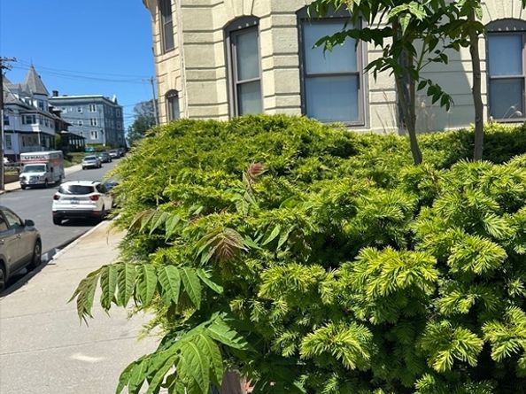 285 Lynn Shore Drive 308, Lynn MA 01902
