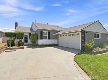 11804 Wilkie