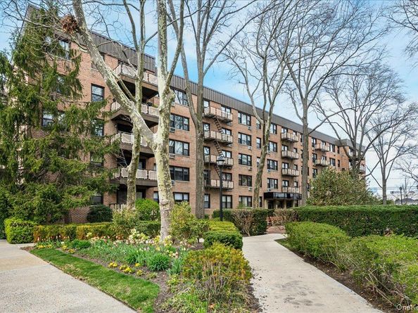 4 Birchwood 1B, Mineola NY 11501