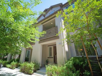 1746 Pedrozzi Common