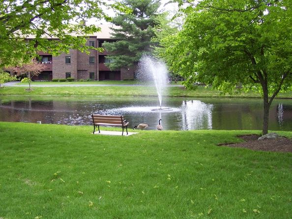 15 Davis b8, Acton MA 01720