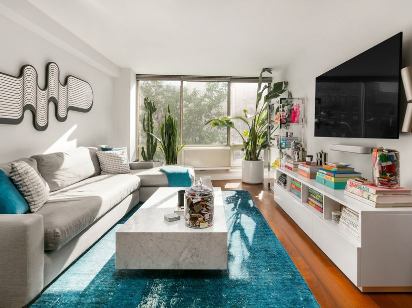 310 East Houston Street 3C, New York NY 10009
