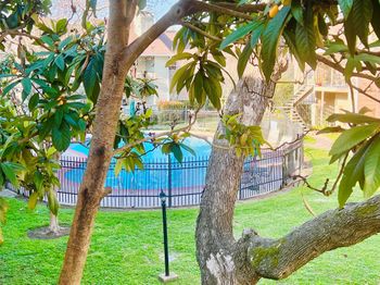 2800 Jeanetta Street