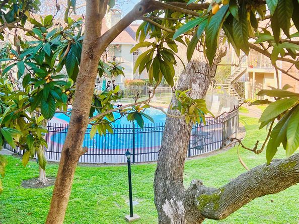 2800 Jeanetta Street 2810, Houston TX 77063