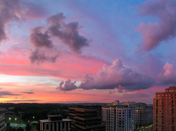 3800 Fairfax Drive 1211, Arlington VA 22203