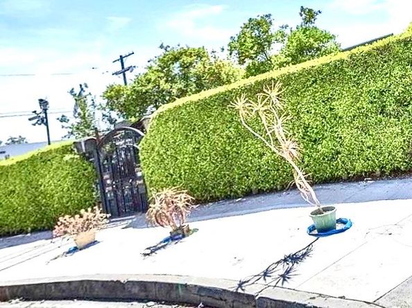 2949 S Harcourt, Los Angeles CA 90016