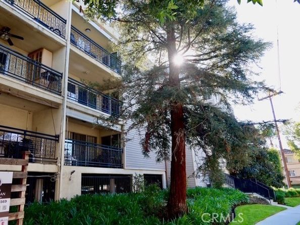 1236 N Columbus 16, Glendale CA 91202