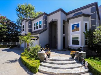 26962 Willow Tree Lane