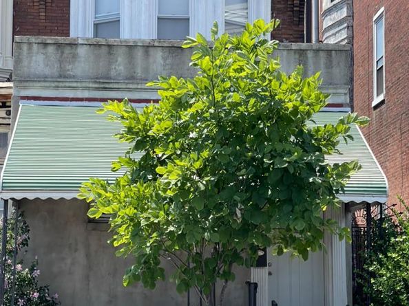 550 N 63rd Street, Philadelphia PA 19151