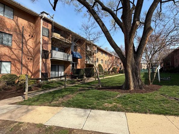7608 Savannah Street 203, Falls Church VA 22043