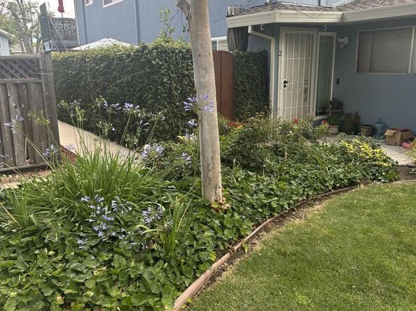 1263 Bouret Drive 2, San Jose CA 95118