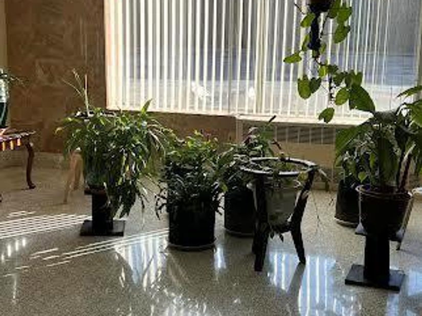 814 B Tilden St 3E, Bronx NY 10467
