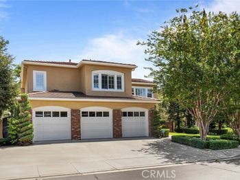 19292 Jasper Hill