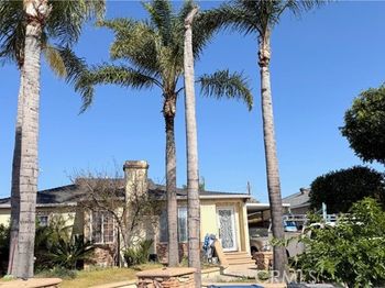 7710 Bonner