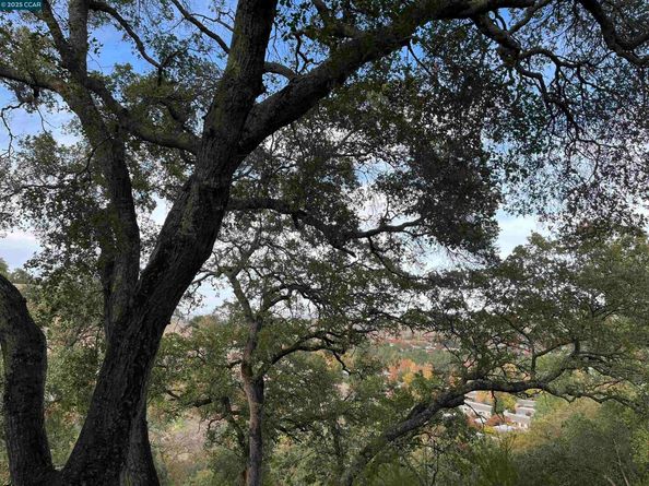 3120 Ptarmigan Dr. 3, Walnut Creek CA 94595