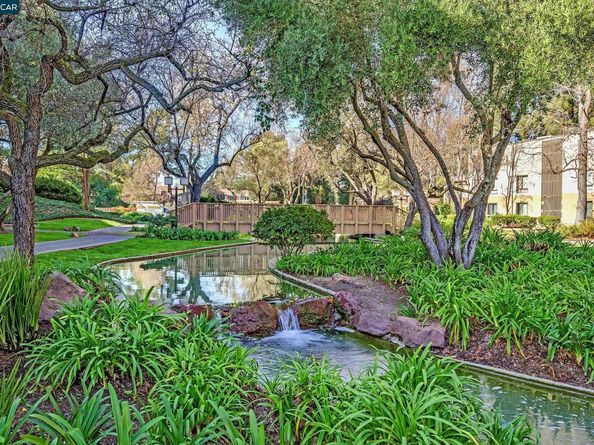 420 N Civic Dr 403, Walnut Creek CA 94596