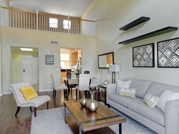 1310 Saddle Rack Street