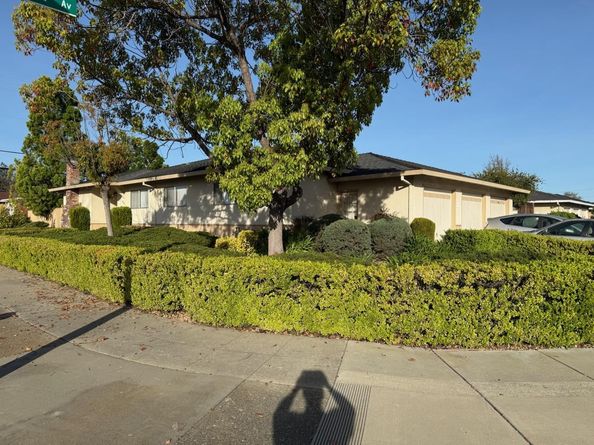 1801 Terri Way, San Jose CA 95124