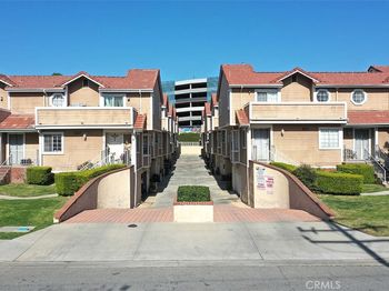 331 Genoa