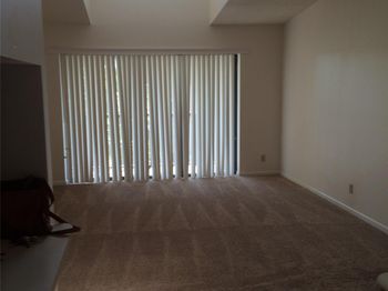 209 Foxtail Drive