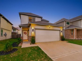 23639 Buttress Root Drive