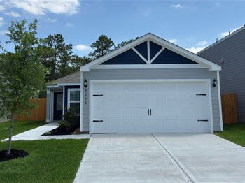 8208 Sunberry Shadow Drive