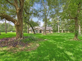 1311 Forest Cove Drive