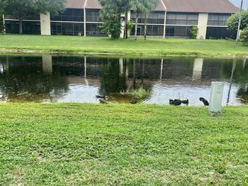 3529 Englewood Drive