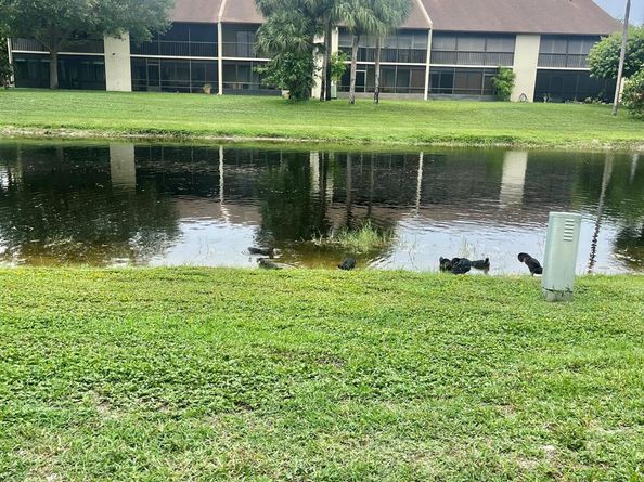 3529 Englewood Drive 313, Lake Worth FL 33467