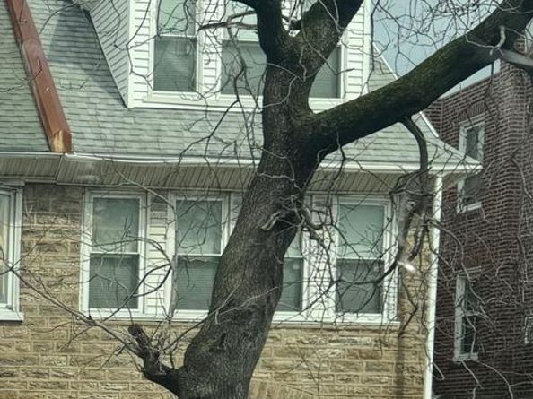 1825 Erlen Road, Elkins Park PA 19027