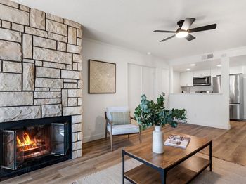 415 Stoney Point Way