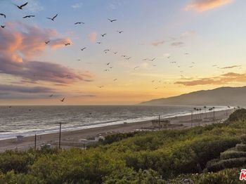 29821 Pacific Coast Highway